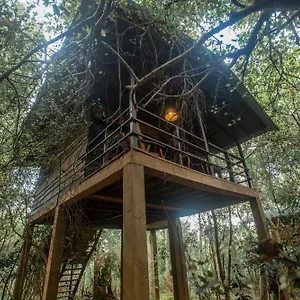 Hotel On The Tree Eco Sigiriya 